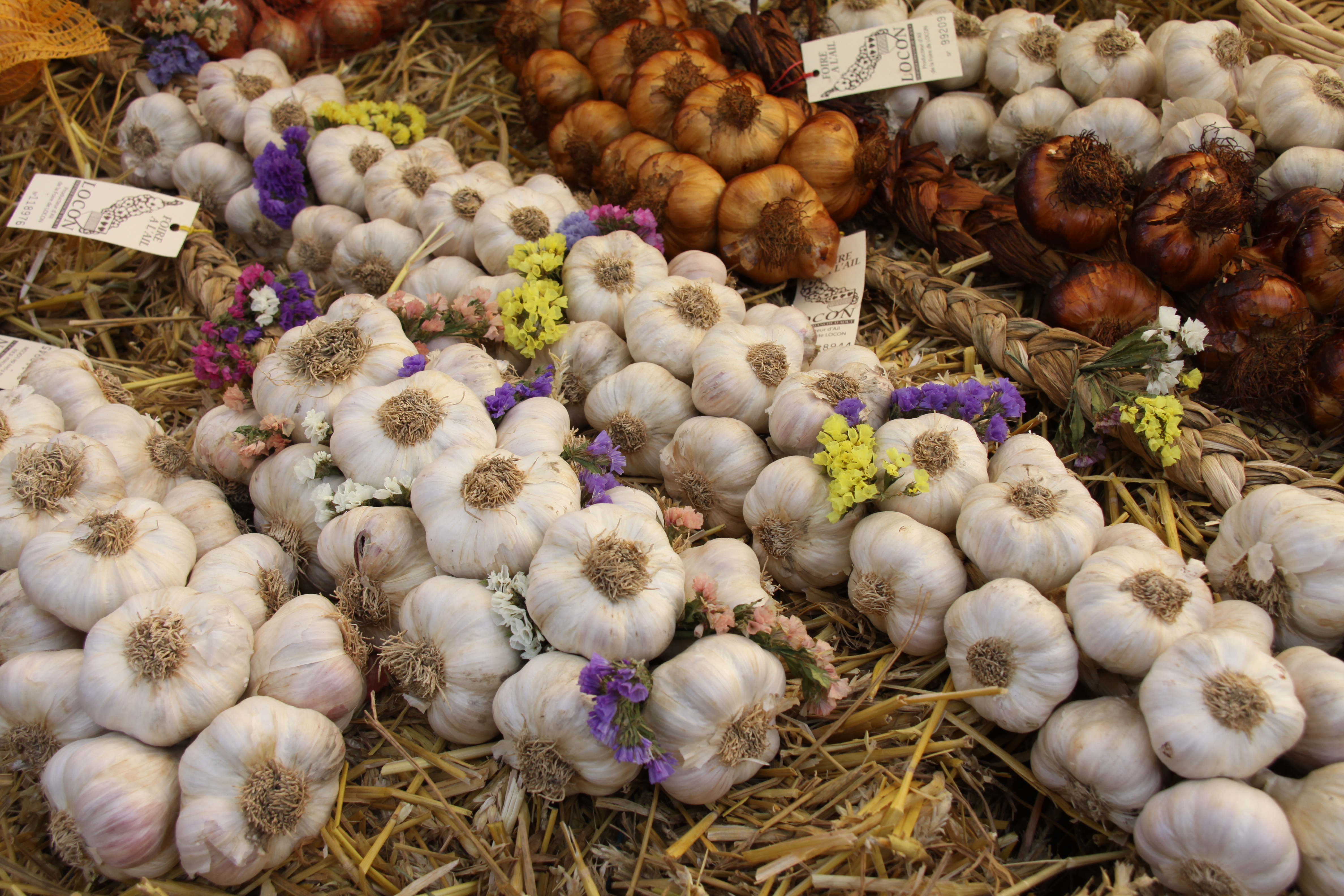 Foire à l'ail de Locon